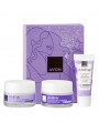 Anew Platinum Hediye Seti