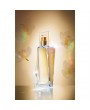 Attraction Kadın EDP 50ml