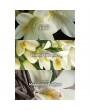 Far Away EDP 50ml