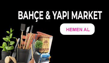 topbanner-01